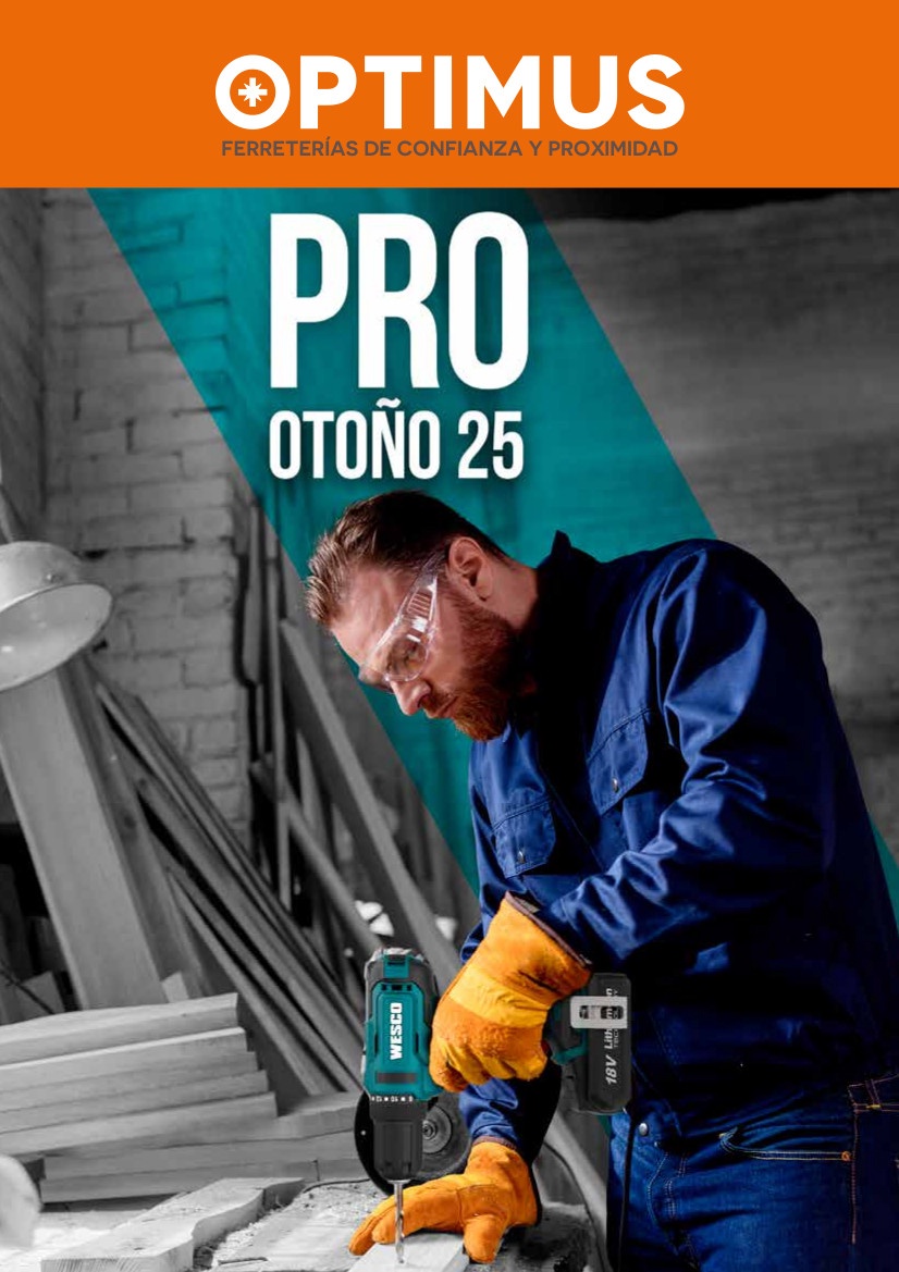 FOLLETO PROFESIONAL II 2025